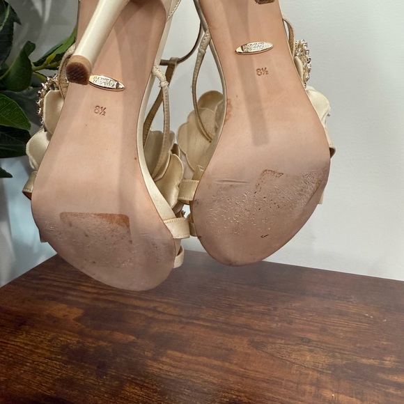 Badgley Mischka Women's Lisa Embellished Satin Floral Appliqué High-Heel Sandals - Picture 10 of 10